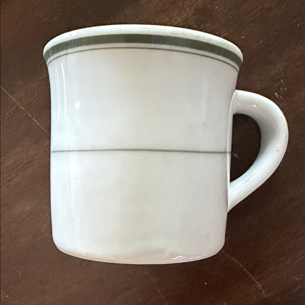 VINTAGE ESCO HOTEL WARE JAPAN * GREEN STRIPE ON WHITE * VITRIFIED COFFEE MUG *